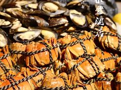 -济南喜来登酒店-盛宴自助西餐厅·综合自助