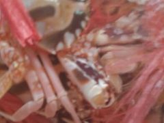 android_upload_pic-春园海鲜广场D区6号(钟姐海鲜加工店)