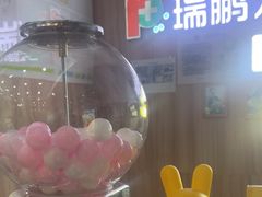 -瑞鹏宠物医院·内科·中兽医·骨科(苗圃店)