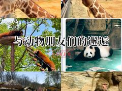 -五龙山野生动物王国
