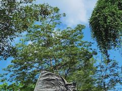 -广州雕塑公园