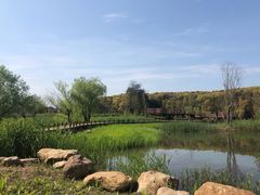 -同里国家湿地公园