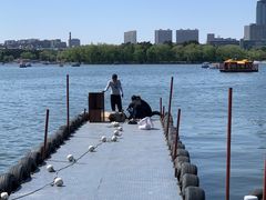 -长春市南湖公园