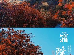 -北京西山国家森林公园