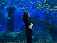 -波塞冬旅游度假区