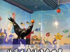 -太平洋海底世界