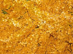 -苏州河梦清园环保主题公园