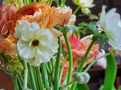 -双季花艺园艺市场(浦东店)