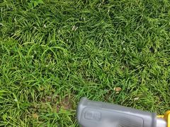 -绿茶餐厅(北京世纪金源店)