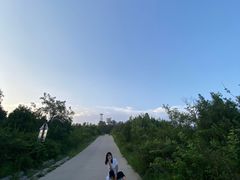 -鬼笑石后山停车场
