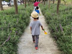 -洪湖家庭农场·团建·露营·会议