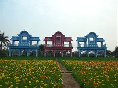 -百万葵园