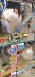 -哈姆雷斯(王府井百货大楼店)