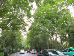 -野蔓果·山野菜(西湖景区·龙井茶田店)