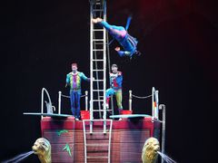 -广州长隆国际大马戏
