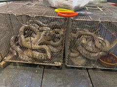 -大门水乡·顺德菜