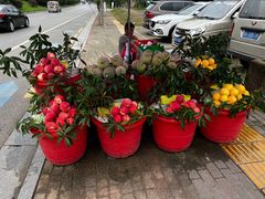 -天怡·鱼工厂(临江店)