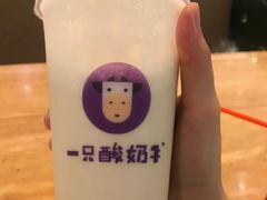 -一只酸奶牛(八一路店)