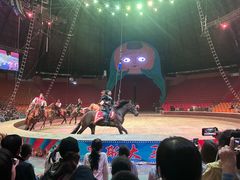 -俄罗斯国家大马戏团