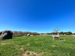 -北纬44度·金珠花海休闲农业旅游景区