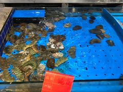 -永红源啤酒·烧烤·海鲜·大排档(青特城店)