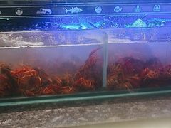 -星伦多自助料理·涮烤一体(奉贤龙湖天街店)