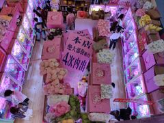 -光明广场