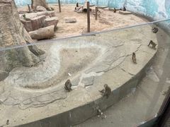 -沈阳森林动物园