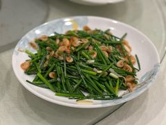 -姚林轩