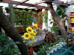 -悦真雅院·四合院·清真私房菜(雍和宫店)