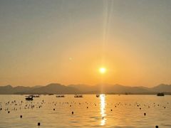 -杭州西湖博物馆总馆