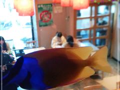 -琴寿司居酒屋(软件园店)