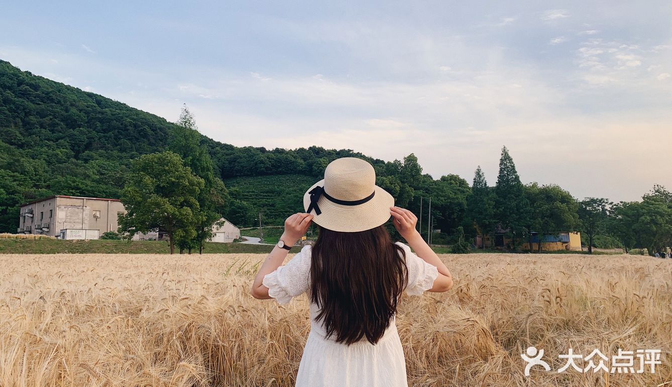 杭州滨江的麦田,在夕阳下奔跑吧