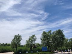 -绿堤公园