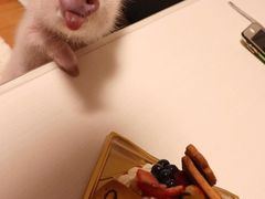 -友乐达台北精致面馆(张江店)