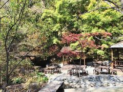 -天女山森林公园