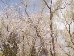 -南长河公园
