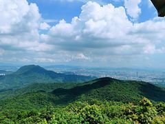 -东莞市大岭山森林公园