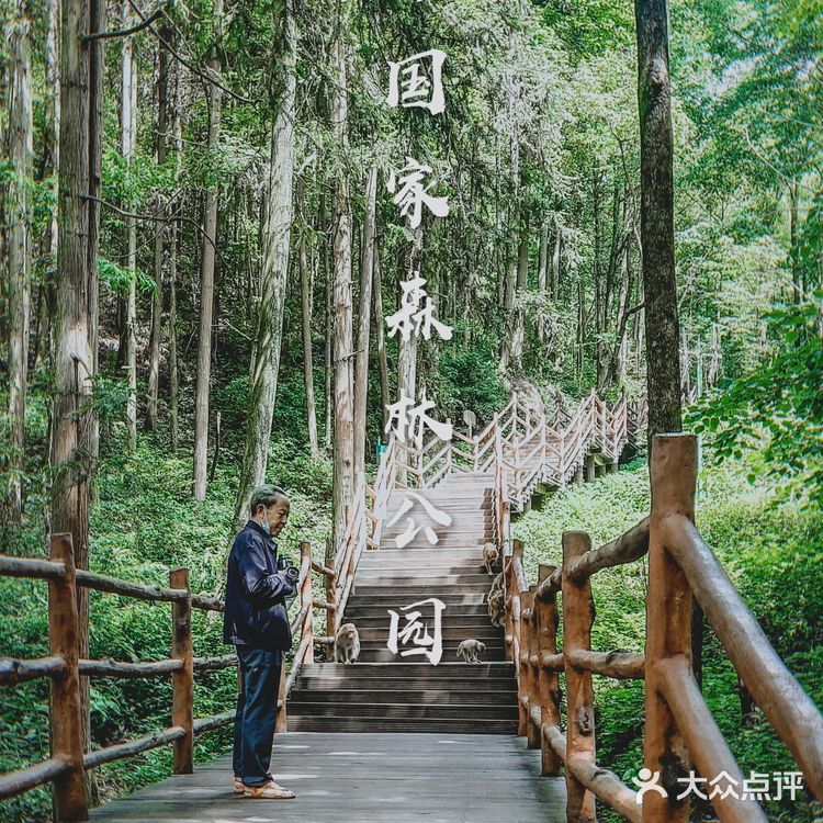 张家界国家森林公园·零基础上手轻松玩转😁