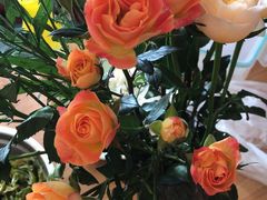 -三圣花乡旅游区