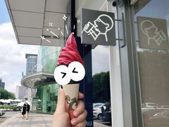 杨梅雪芭-喜茶(东莞汇一城店)
