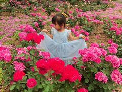 -洛阳市隋唐城遗址植物园