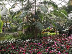 -北京植物园-展览温室