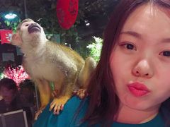 -萌宠奇缘