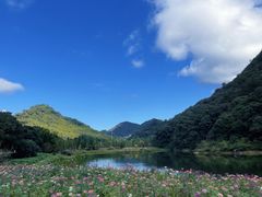 -广州市石门国家森林公园