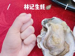 极品蚝皇（蒜蓉）-林记生蚝·专注生蚝三十载(创意园店)