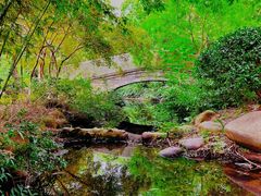 -白马涧龙池景区