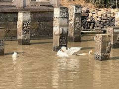 -东钱湖旅游度假区