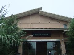 溱湖国家湿地公园-溱湖国家湿地公园