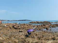 -青岛第二海水浴场